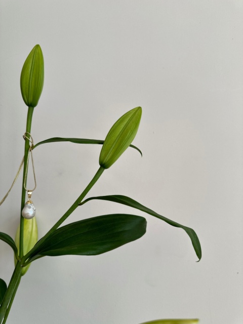 Naszyjnik IRIS z perłą Naszyjnik IRIS z perłą