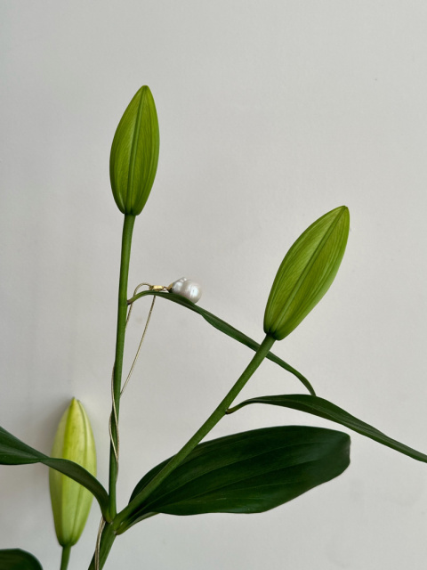 Naszyjnik IRIS z perłą Naszyjnik IRIS z perłą